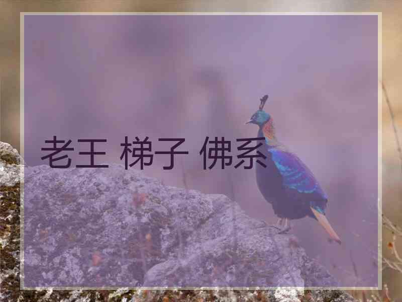 老王 梯子 佛系