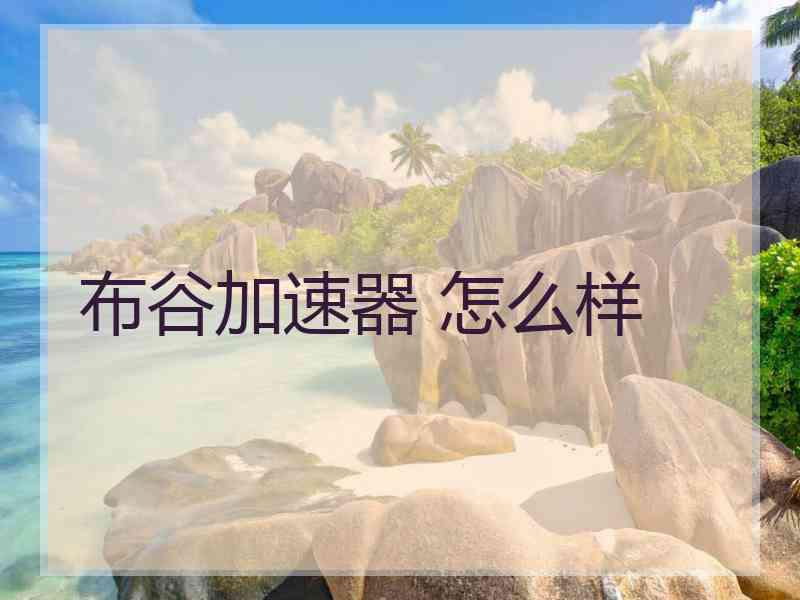 布谷加速器 怎么样