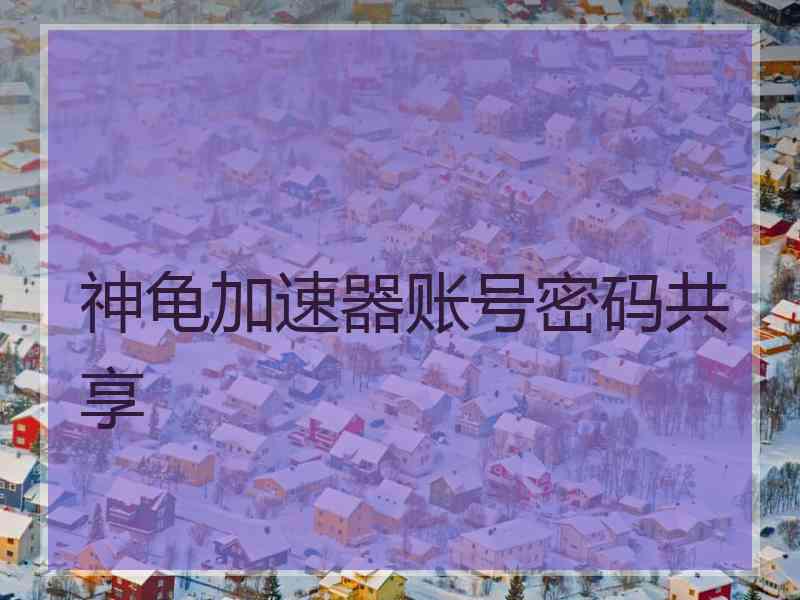 神龟加速器账号密码共享