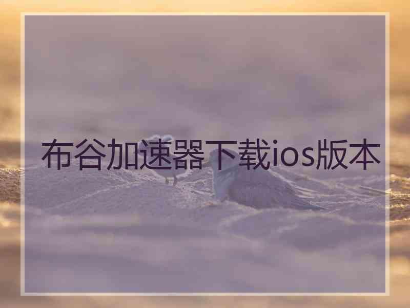 布谷加速器下载ios版本