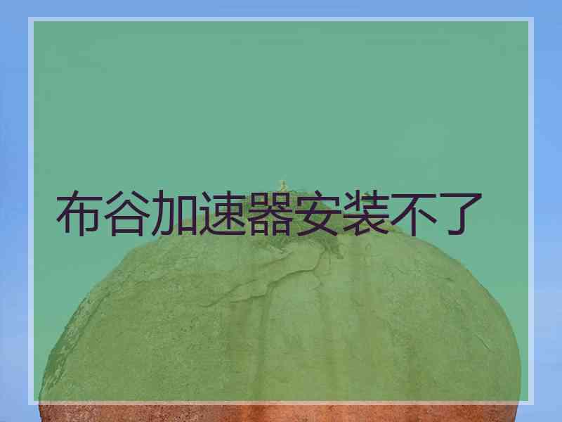 布谷加速器安装不了