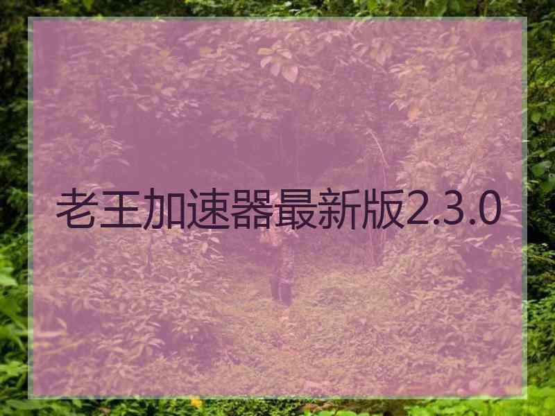 老王加速器最新版2.3.0