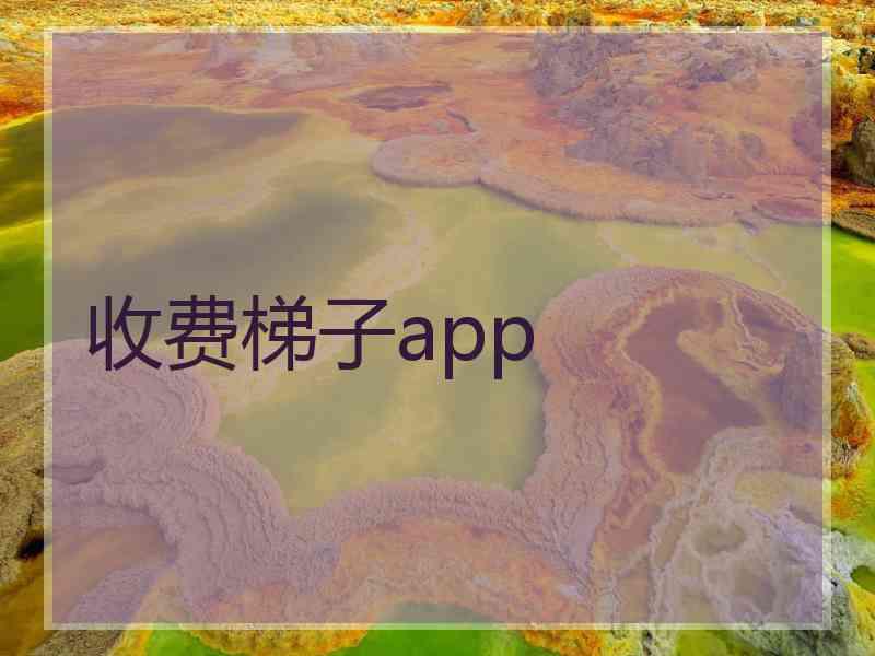 收费梯子app