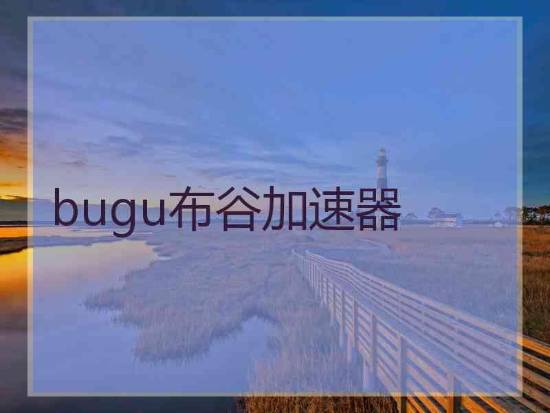 bugu布谷加速器