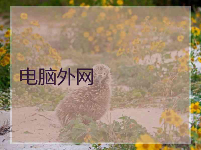 电脑外网