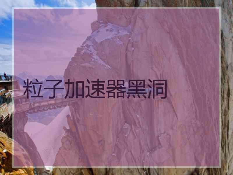 粒子加速器黑洞