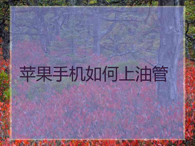 苹果手机如何上油管