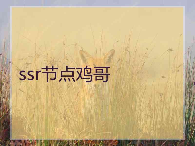 ssr节点鸡哥