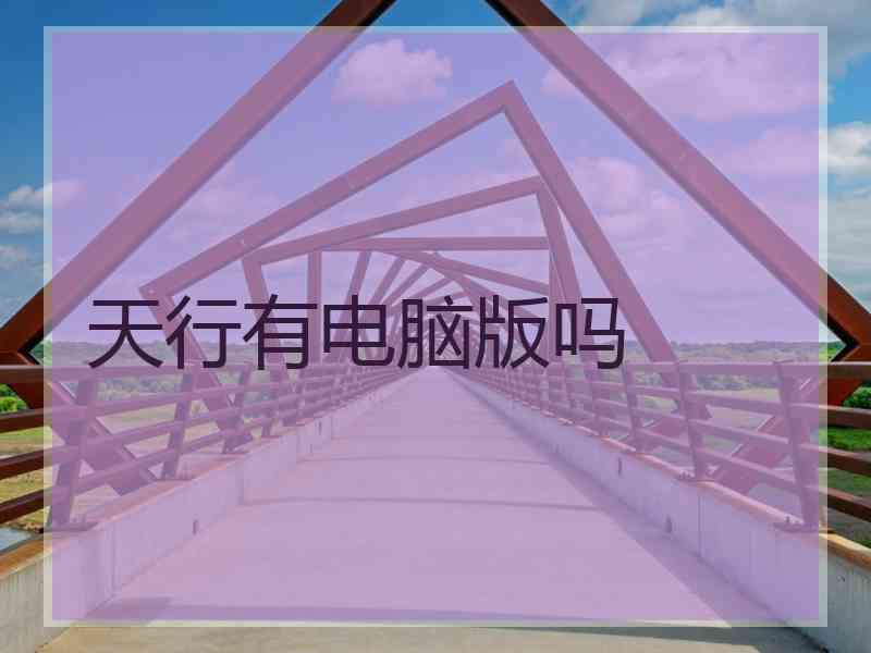 天行有电脑版吗