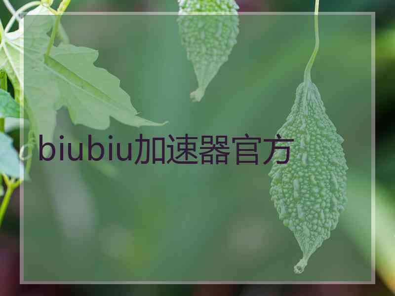 biubiu加速器官方