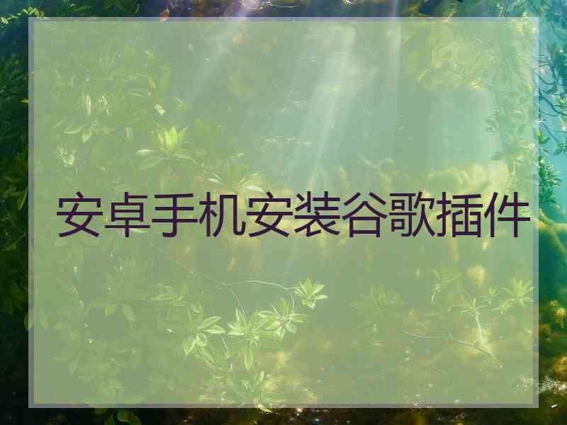 安卓手机安装谷歌插件