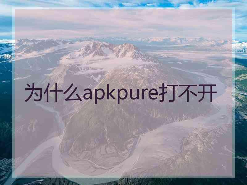 为什么apkpure打不开