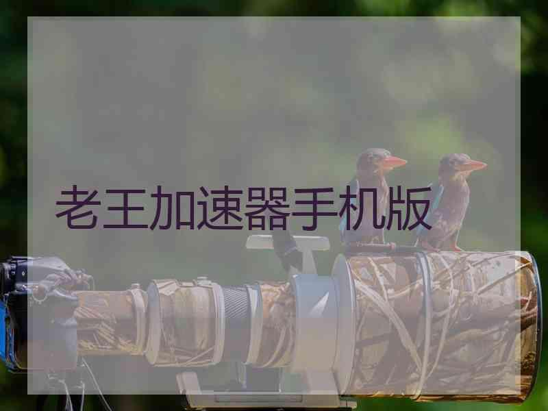 老王加速器手机版