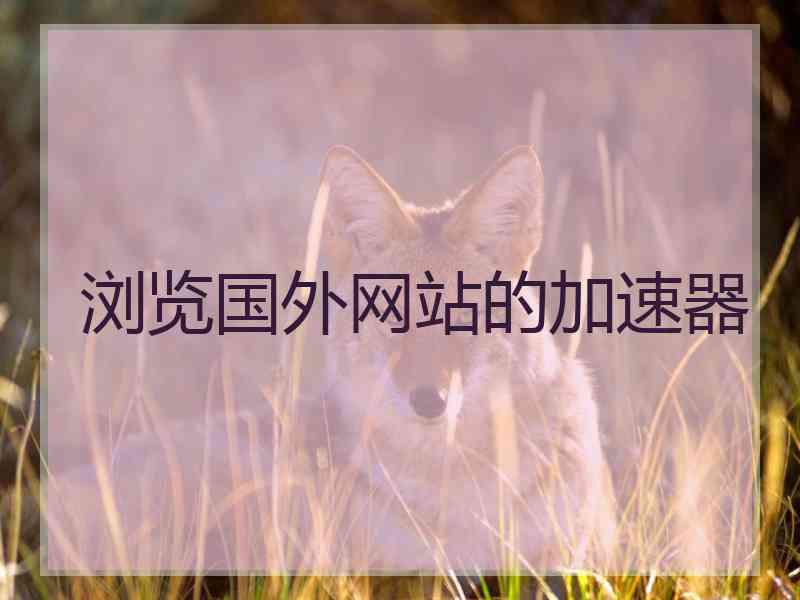 浏览国外网站的加速器