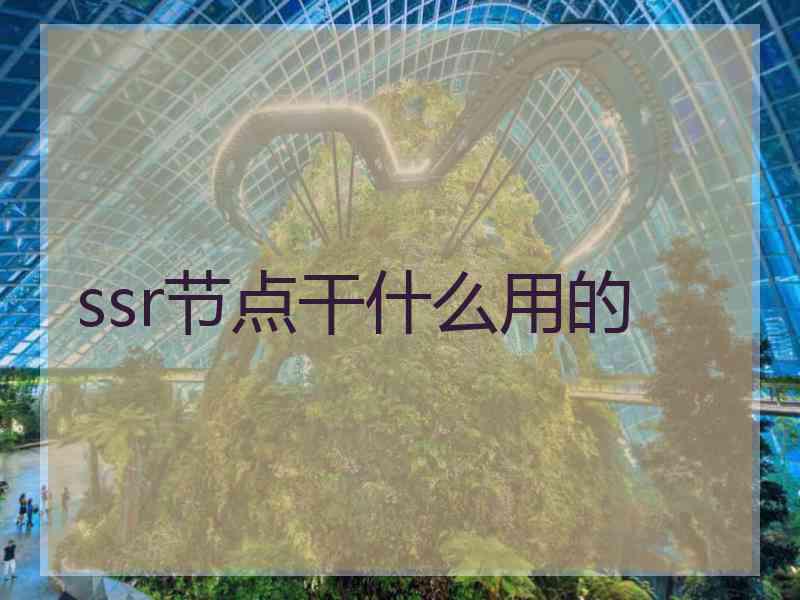 ssr节点干什么用的