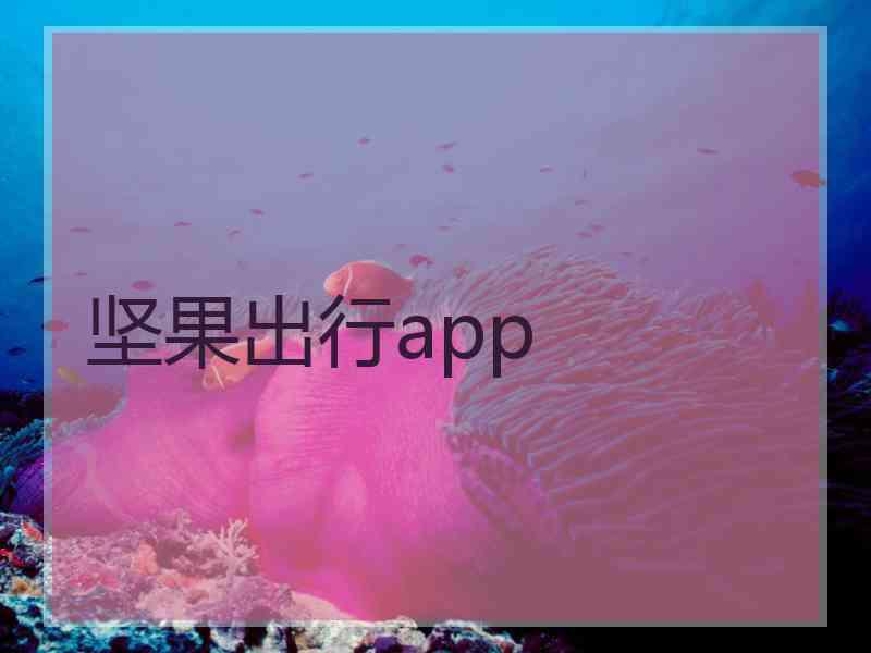 坚果出行app
