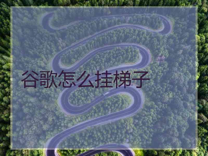 谷歌怎么挂梯子
