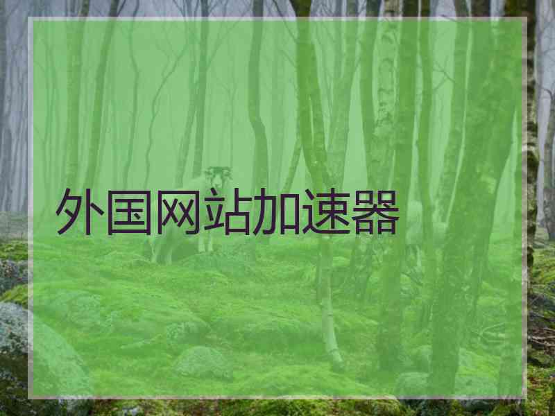 外国网站加速器