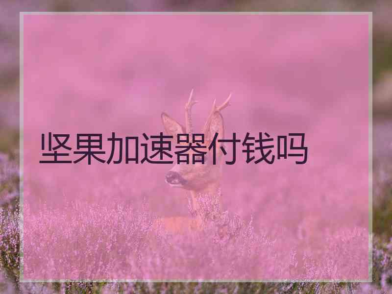 坚果加速器付钱吗