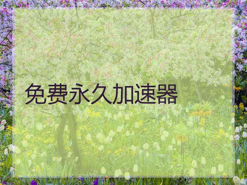 免费永久加速器