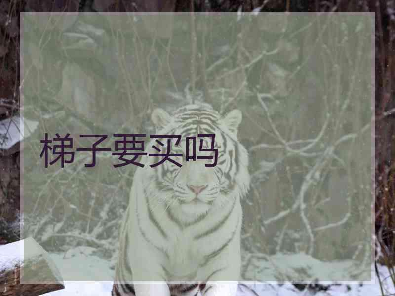 梯子要买吗
