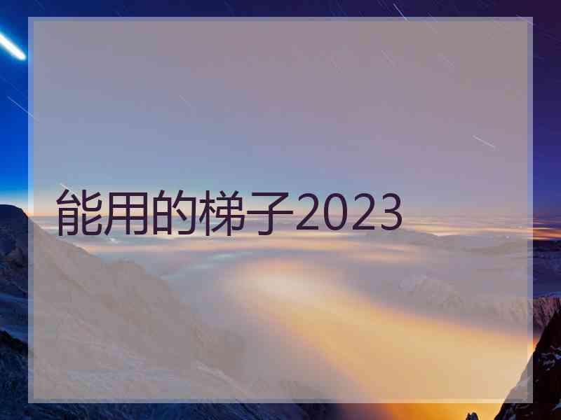 能用的梯子2023
