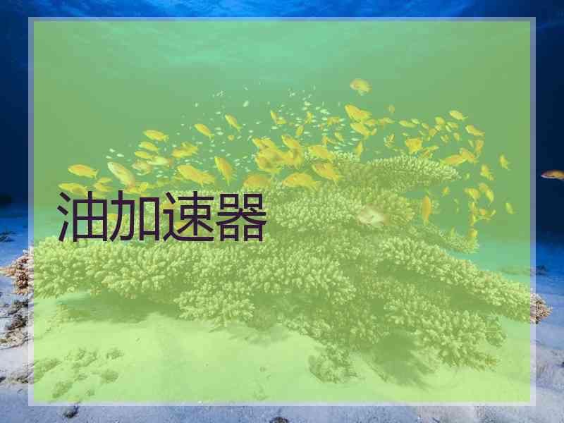 油加速器