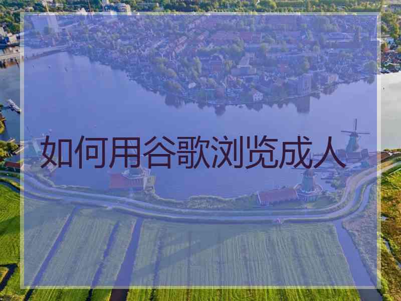 如何用谷歌浏览成人