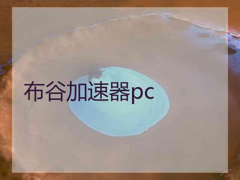 布谷加速器pc