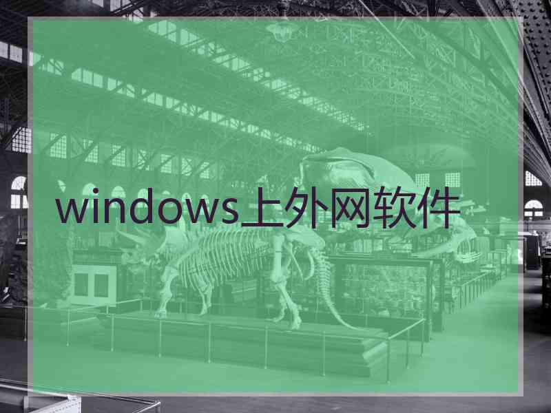 windows上外网软件