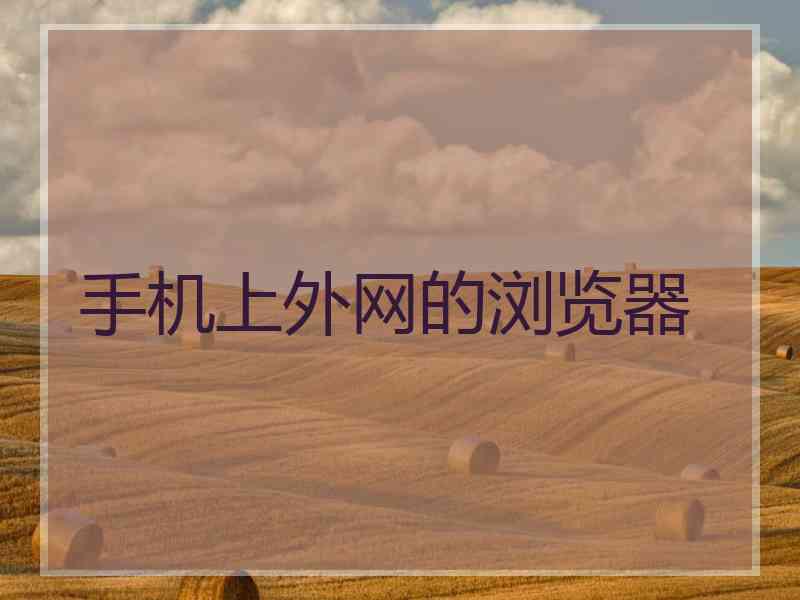 手机上外网的浏览器