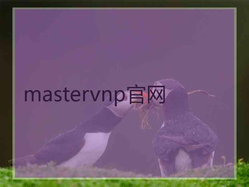 mastervnp官网