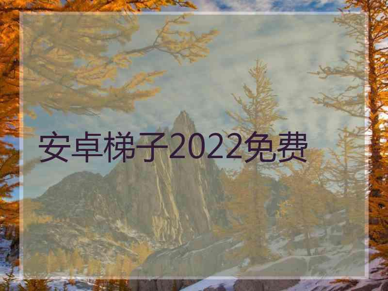 安卓梯子2022免费