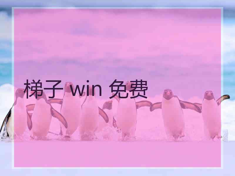 梯子 win 免费