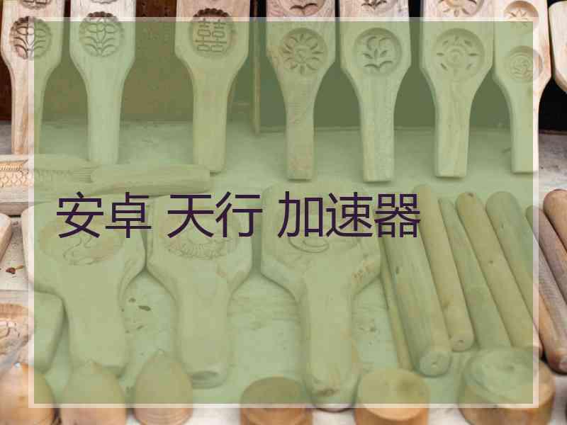 安卓 天行 加速器