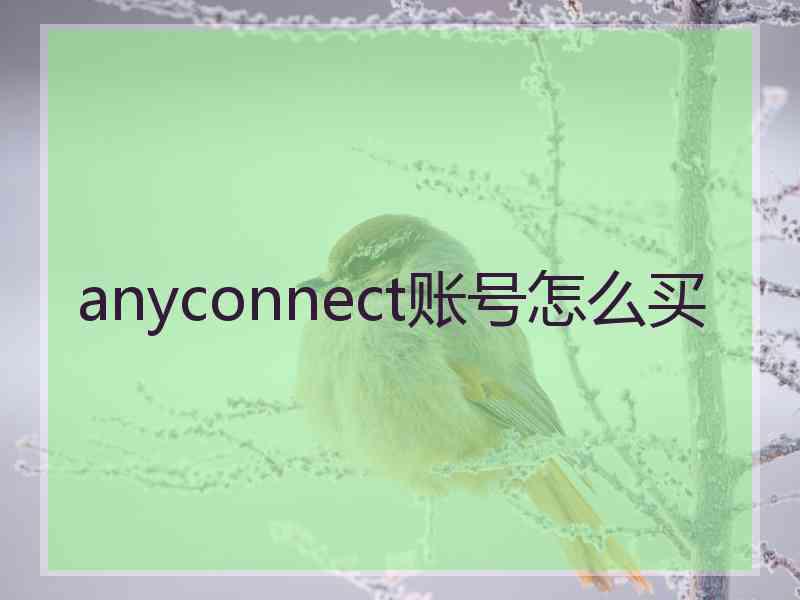 anyconnect账号怎么买