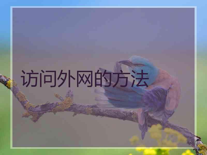 访问外网的方法