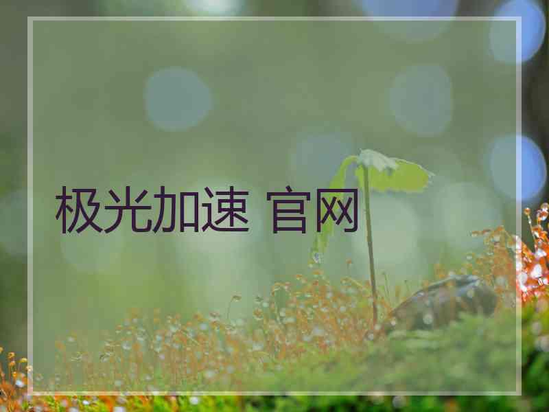 极光加速 官网