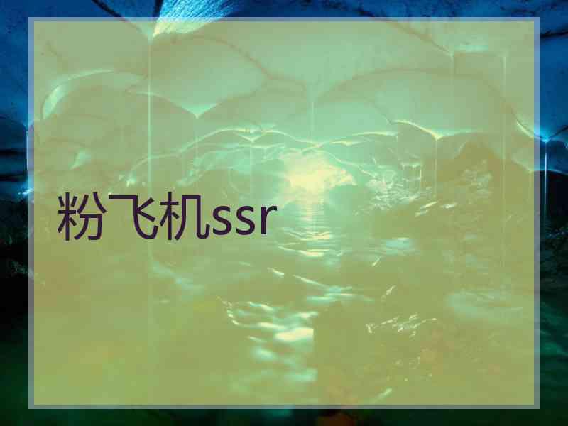 粉飞机ssr