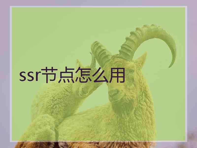 ssr节点怎么用