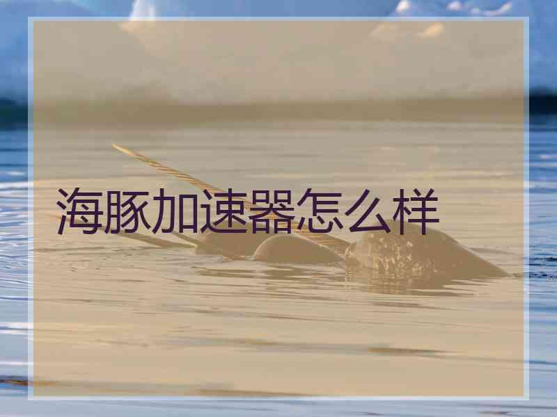 海豚加速器怎么样