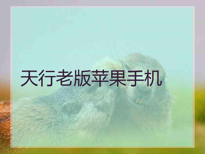天行老版苹果手机