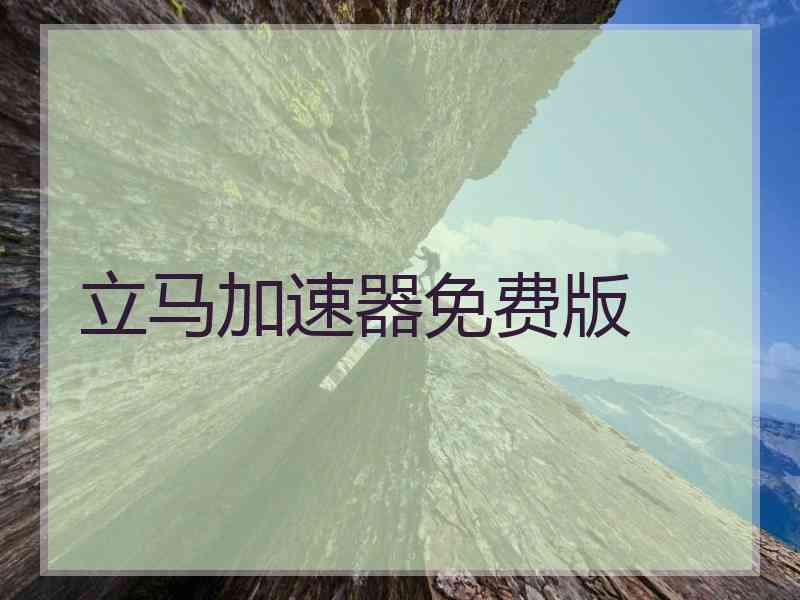 立马加速器免费版