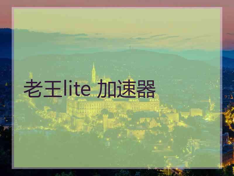 老王lite 加速器