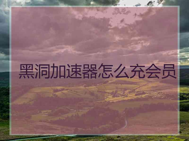 黑洞加速器怎么充会员