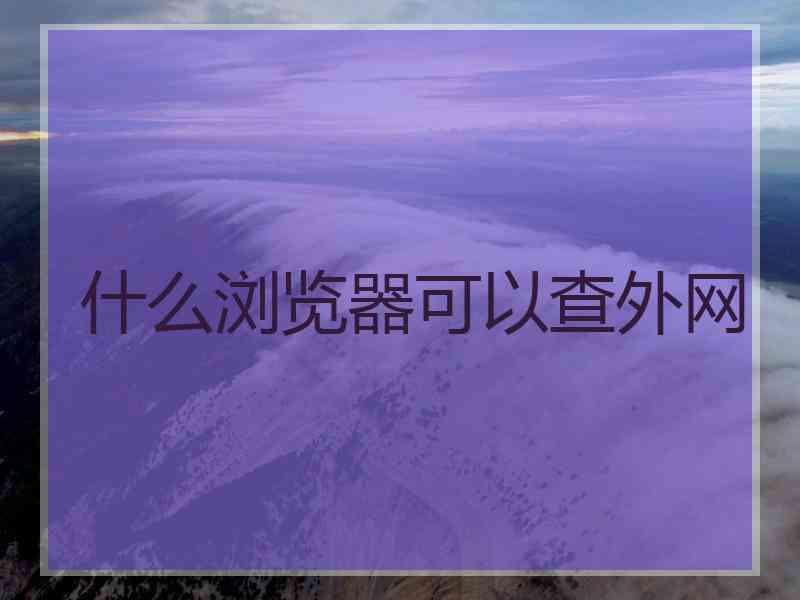 什么浏览器可以查外网