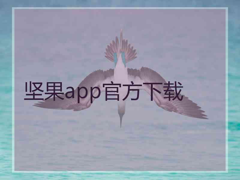 坚果app官方下载