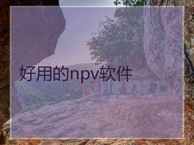 好用的npv软件