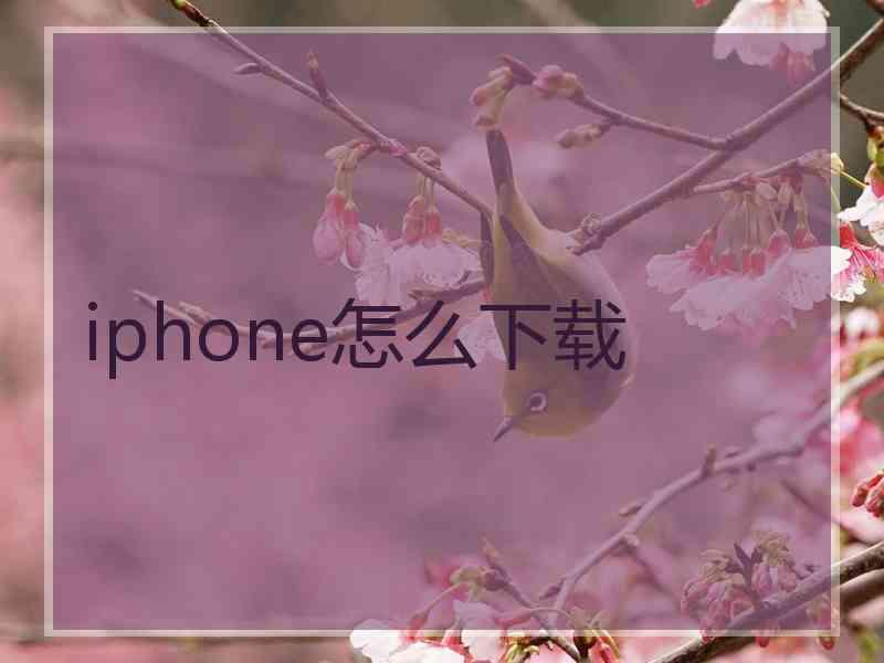 iphone怎么下载