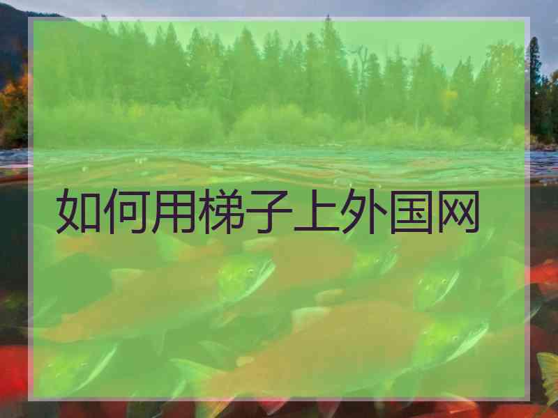 如何用梯子上外国网